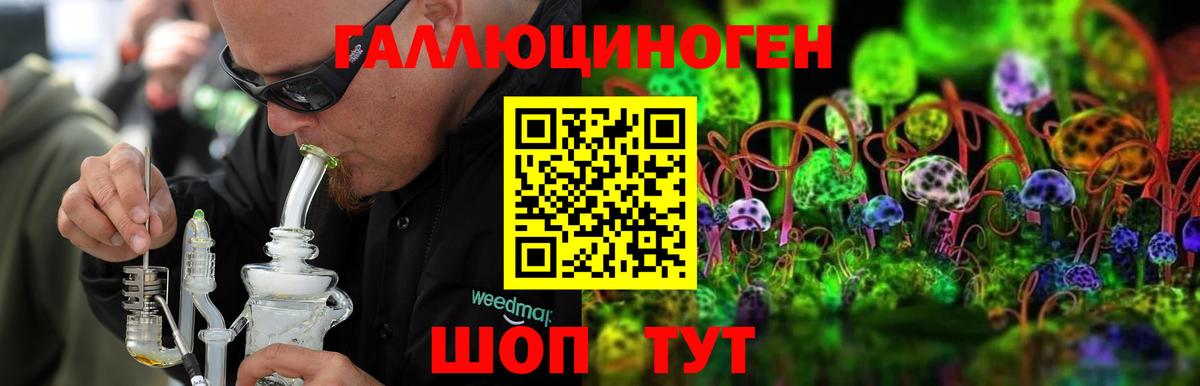 Псилоцибиновые грибы Psilocybe Тара